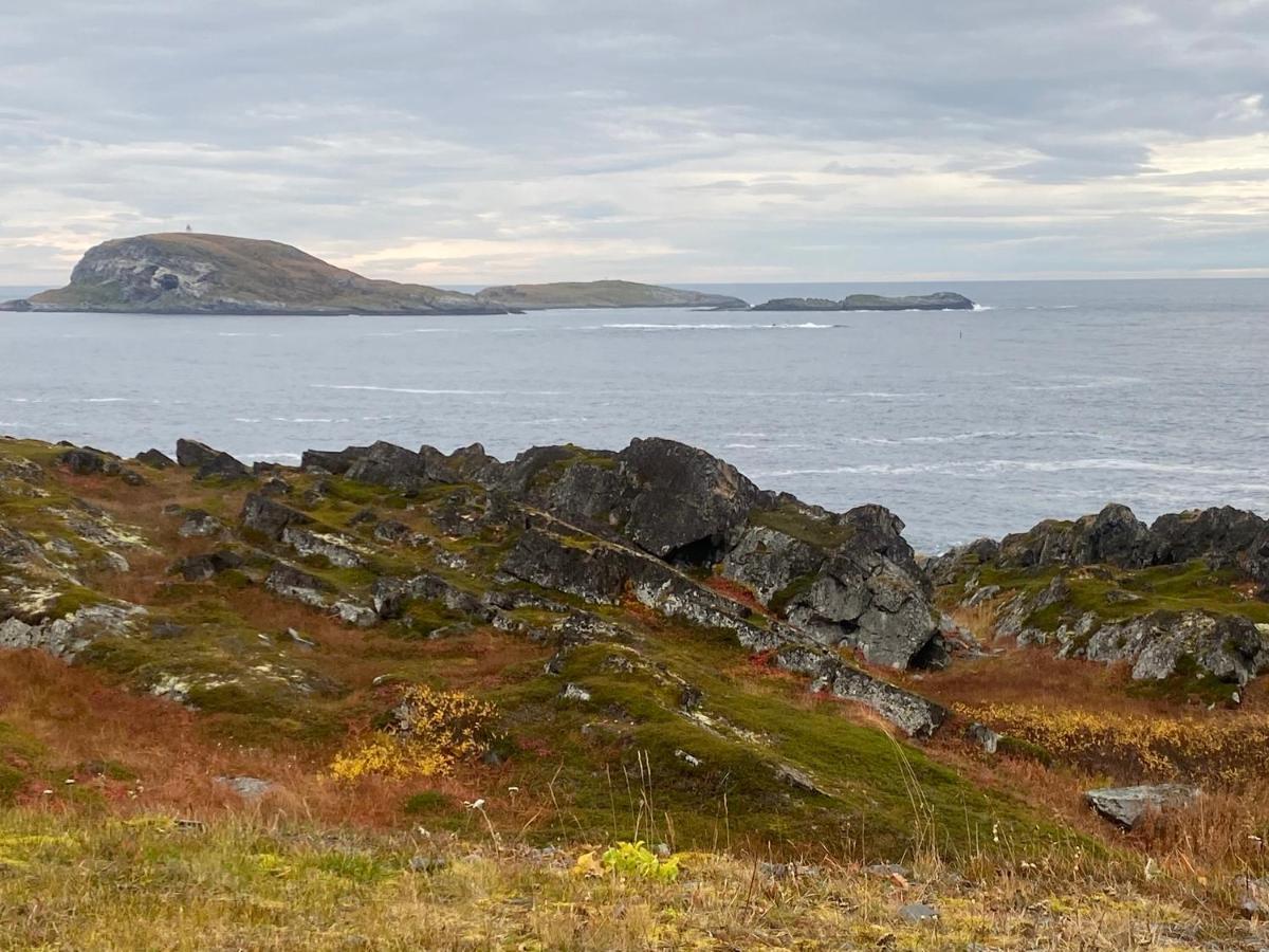 Panorama Vardo Luaran gambar